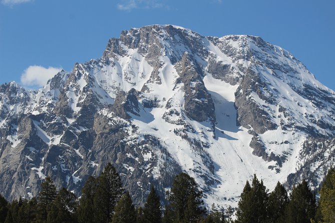 Grand Teton Half Day Tour - Booking and Pricing