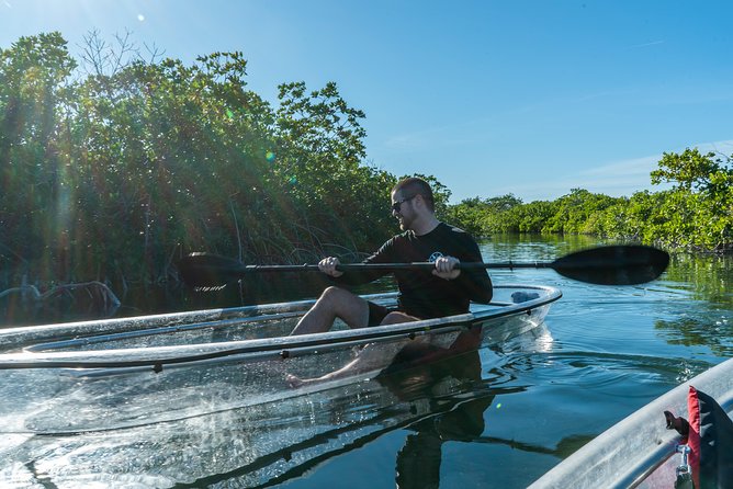 Guided Clear Kayak Eco-Tour Near Key West - Customer Feedback and Experiences