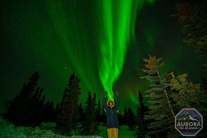 Incredible Aurora Viewing Adventure - Guest Experiences