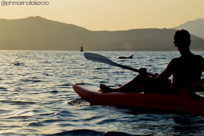 Kayak Tour With Aperitif and Dolphins - Complimentary Sardinian Aperitivo