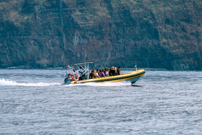 Madeira Dolphin & Whale Watching Tour - Exploring Madeiras Coastal Beauty