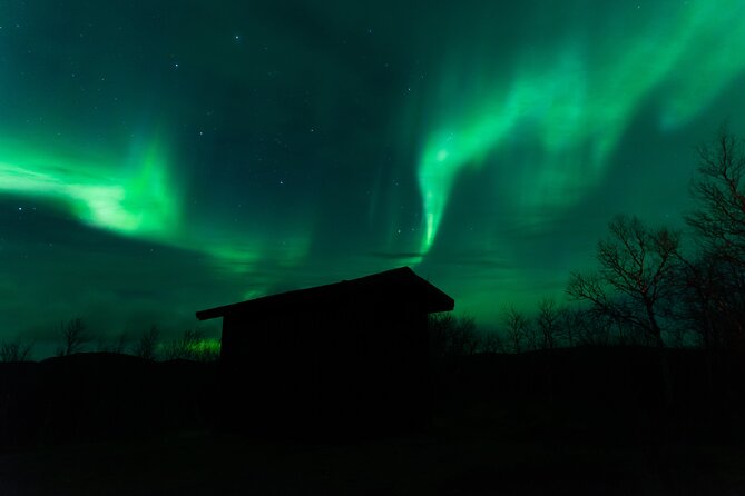 Northern Lights Tour From Kiruna to Abisko With Dinner - Preparing for the Aurora Adventure