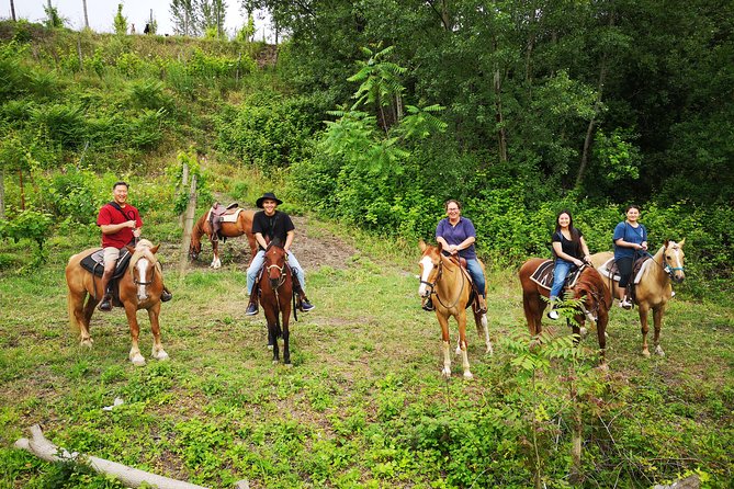 Pompeii Guided Tour & Horse Riding on Vesuvius With Lunch - Accessibility and Participant Information