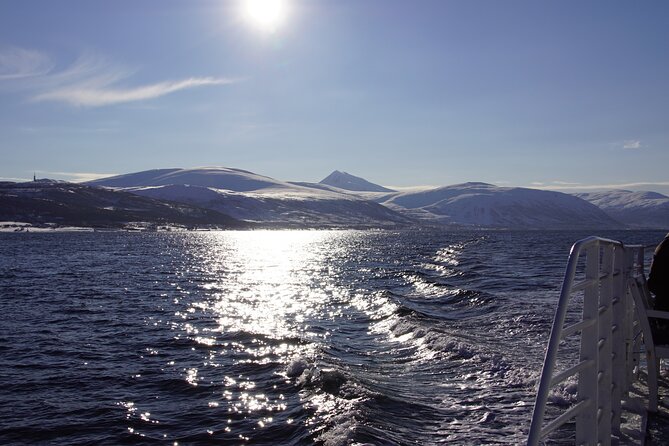 Tromsø: All-inclusive Polar Fjord & Fishing Cruise - Booking Information and Cancellation Policy