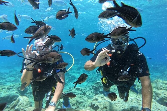 Try a Scuba Diving Experience - Why This Scuba Diving Experience Stands Out