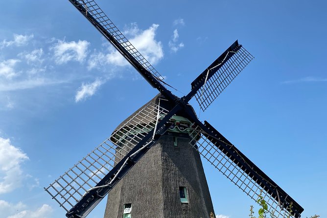 Zaanse Schans and Zaandam Countryside Electric Bike Tour - Highlights of the Tour