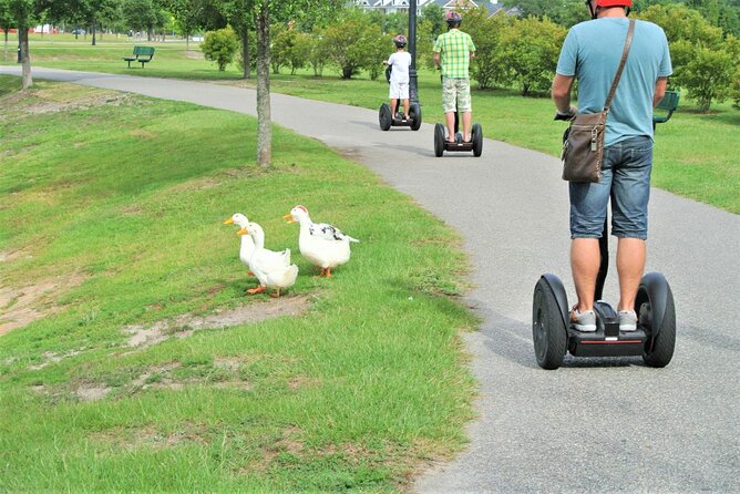 2-Hour Guided Segway Tour of Huntington Beach State Park in Myrtle Beach - Tour Logistics and Booking