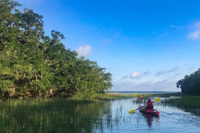 2-Hour Hilton Head Guided Kayak Nature Tour - Tour Details and Pricing