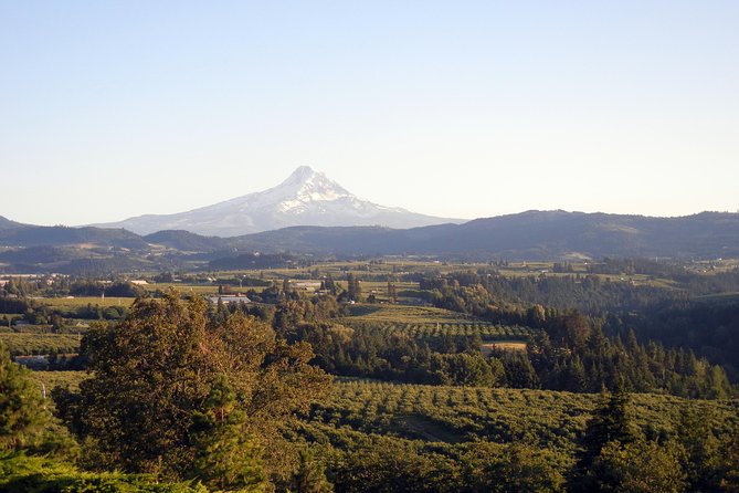 Columbia River Gorge Waterfalls & Mt Hood Tour From Portland, or - Why Choose This Tour?