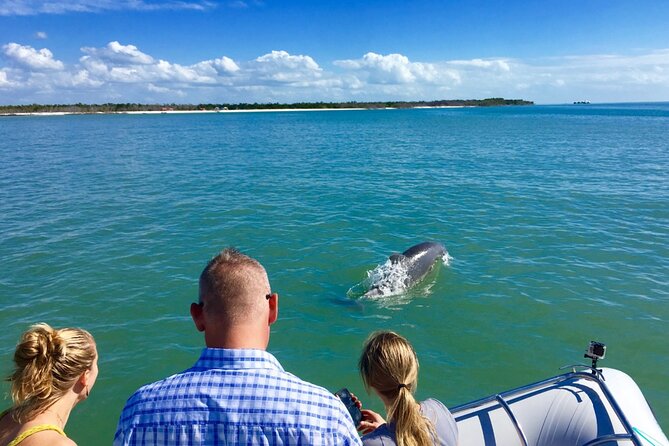 Dolphin and Shelling Cruise for up to 12 People - Relaxing on the Isolated Barrier Island