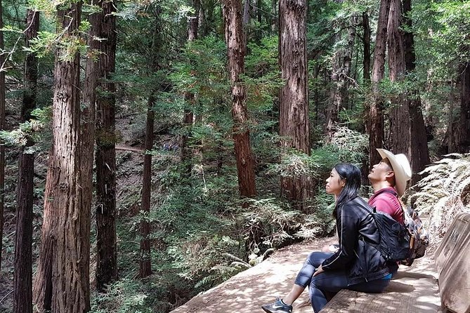 From San Francisco: Guided Tour to Muir Woods Coastal Redwoods - Making the Most of Your Day Trip