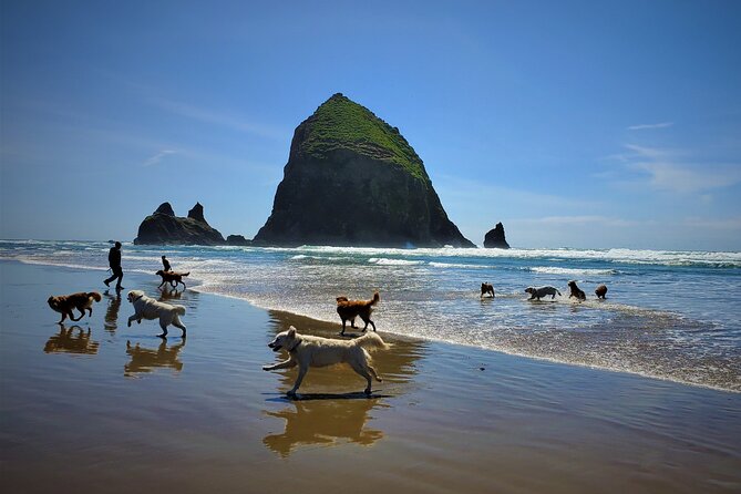 Full-Day Guided Oregon Coast Tour From Portland - Experiencing Cannon Beach and Haystack Rock