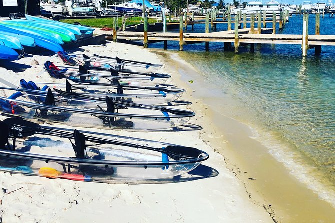 Guided Clear Kayak Eco-Tour of Jupiter - Enjoying the Personalized Guided Tour