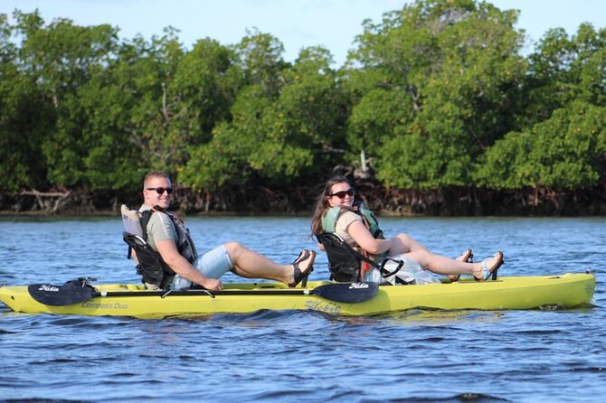 Kayak Tour Adventure Marco Island and Naples Florida - Recommendations and The Sum Up