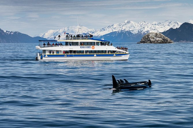 Kenai Fjords National Park Glacier & Wildlife Cruise - Scenic Route and Onboard Narration