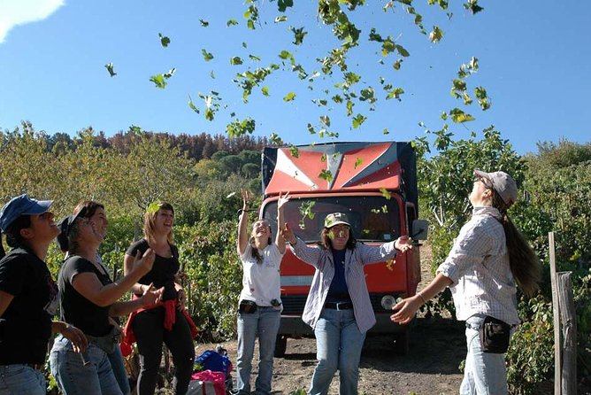 Private 6-Hour Tour of Three Etna Wineries With Food&Wine Tasting - Recommendations and Special Notes