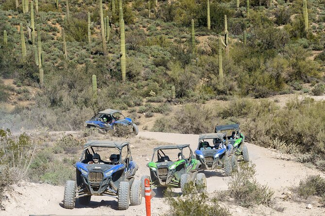 Ancient Ruins Tour - Guided Arizona Desert Tour by UTV - Key Points