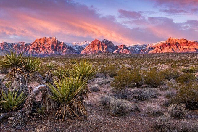 Award Winning Red Rock Canyon Tour - Key Points