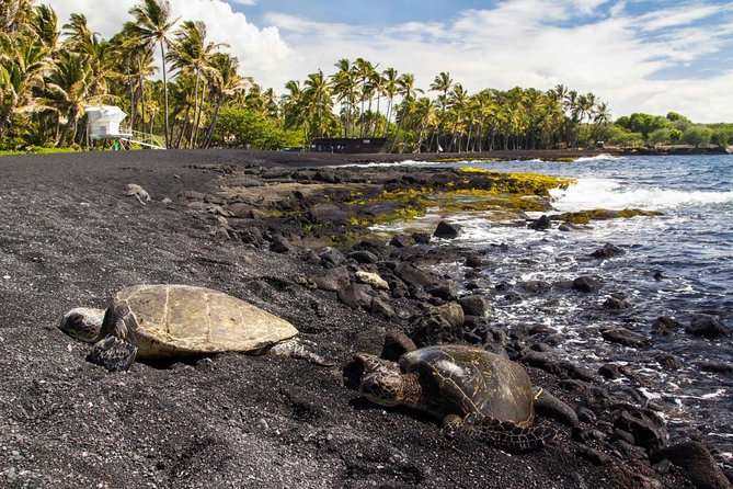 Big Island Highlights: Coffee, Volcano, Black Sands & Waterfall - Key Points