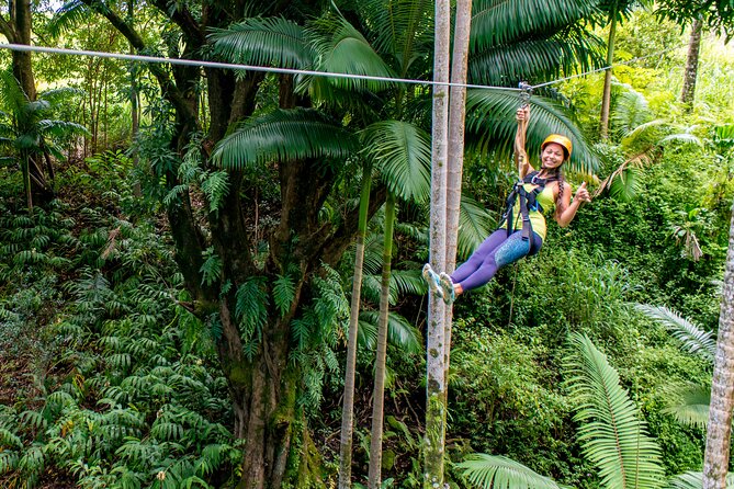 Big Island Zipline Adventure - Key Points