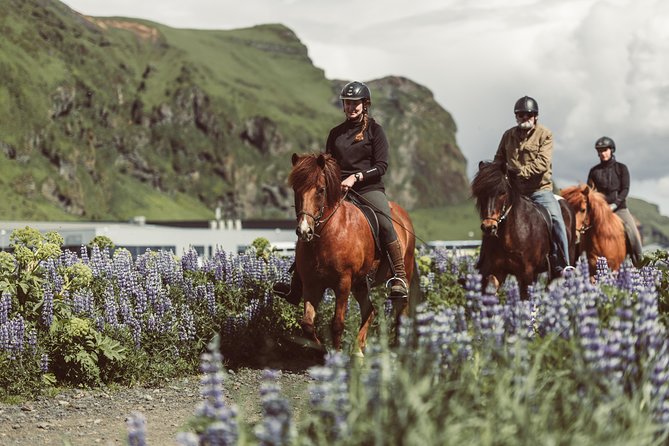 Black Sand Beach Horse Riding Tour From Vik - Key Points