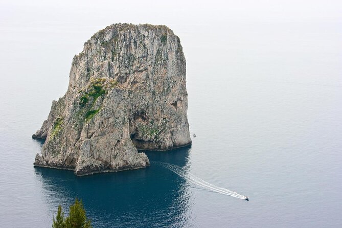 Capri Boat Tour With Optional Blue Grotto Visit From Sorrento - Key Points