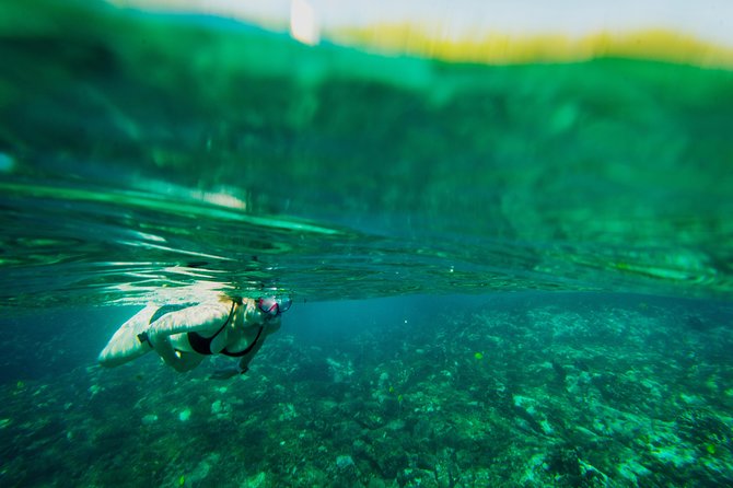 Captain Cook Snorkel On A Power Catamaran With Lunch - Key Points