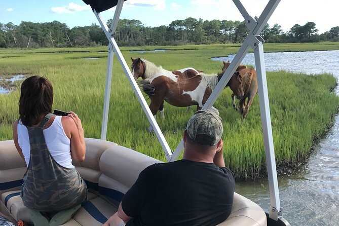 Chincoteagues Up The Bay Pony and Wildlife Tour by Boat - Key Points