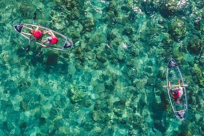 Clear Bottom Kayak and Snorkel Tour at Turtle Town, Makena - Key Points