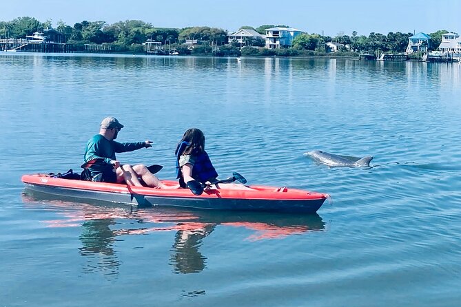 Dolphin, Manatee and SeaTurtle SUP Adventure Tour of St Augustine - Key Points