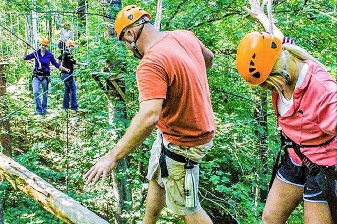 Fontanel Zipline Forest Adventure at Nashville North - Key Points