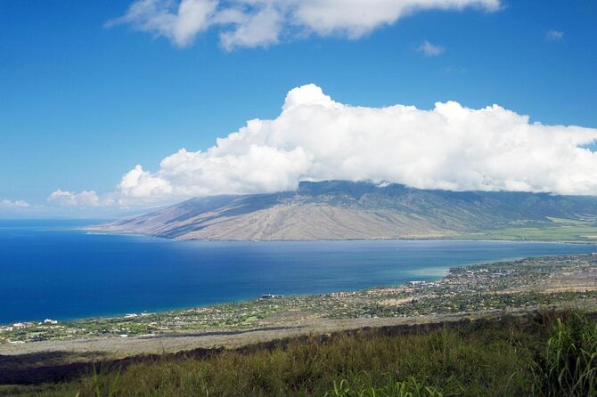 From Maalaea: Whale Watching Tour Aboard the Quicksilver - Key Points