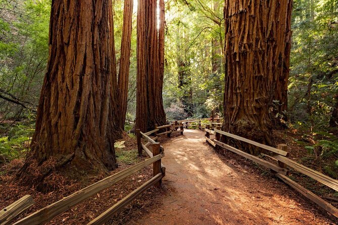 From San Francisco: Guided Tour to Muir Woods Coastal Redwoods - Key Points