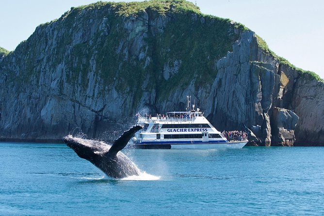 Full-Day Kenai Fjords National Park Cruise - Key Points