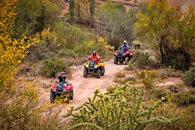 Guided Arizona Desert Tour by ATV - Centipede Tour - Key Points