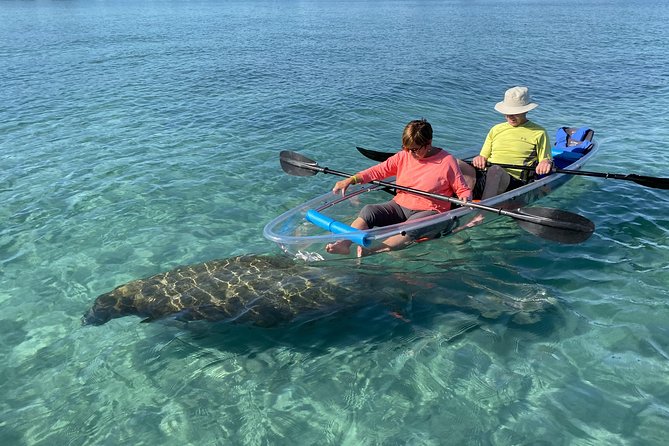 Guided Clear Kayak Eco-Tour of Jupiter - Key Points