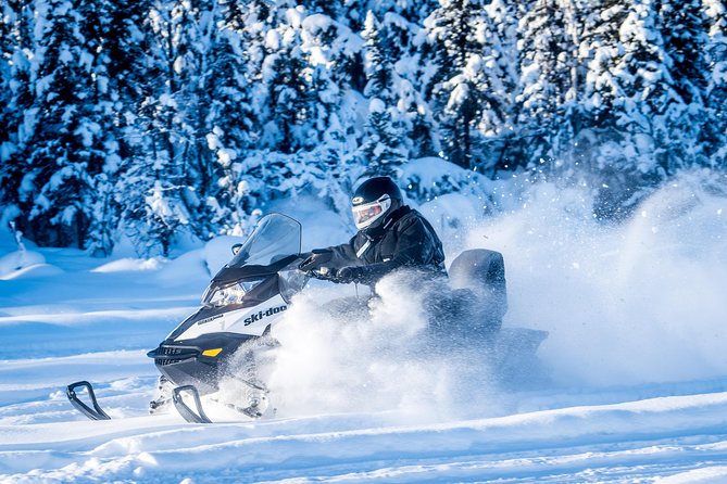 Guided Fairbanks Snowmobile Tour - Tour Overview