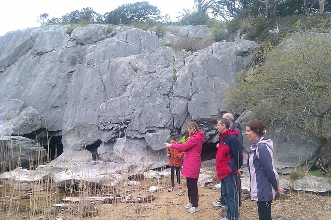 Guided Killarney National Park Walking Tour - Tour Overview