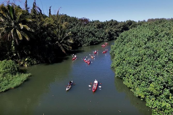 Hanalei Bay AM Kayak and Snorkel Tour - Itinerary and Inclusions