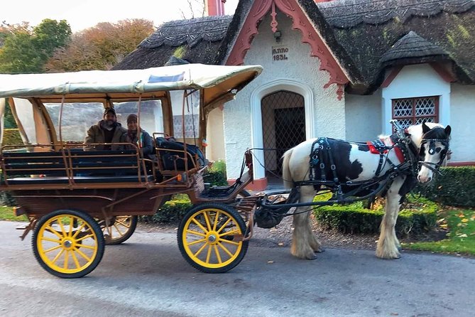 Killarney National Park Tour - Tour Overview