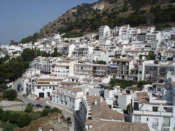 Mijas: Panoramic City Tour With an Electric Tuk Tuk - Key Points