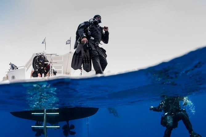 Private Diving at Zenobia Wreck in Larnaka - Key Points